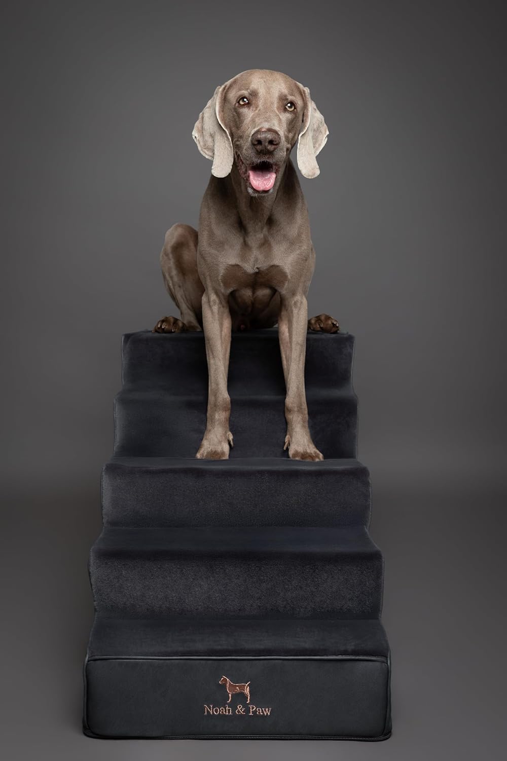 Noah & Paw Dog Stairs - Gallery 22