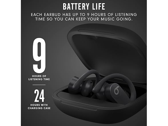 Beats Beats Powerbeats Pro Wireless Earbuds -