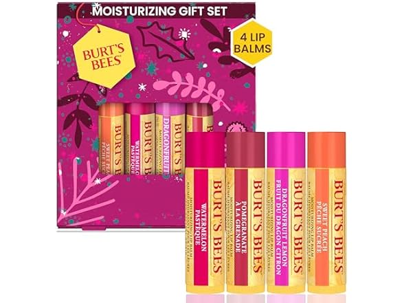 Burt's Bees Lip Balm Gift Set Fruit Mix