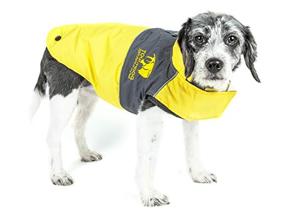 Sporty Yellow, Charcoal Black