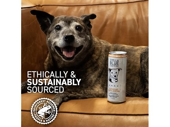 12PK Stella Blue Espresso Caffe Mocha Cans