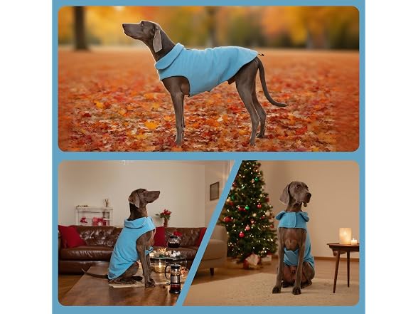 DENTRUN Reversible Dog Winter Coat