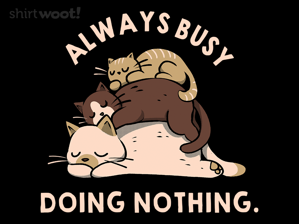 Always Busy Doing Nothing Cats - Gallery 4