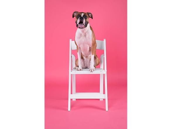 Flash Furniture Hercules™ Series Folding Chair
