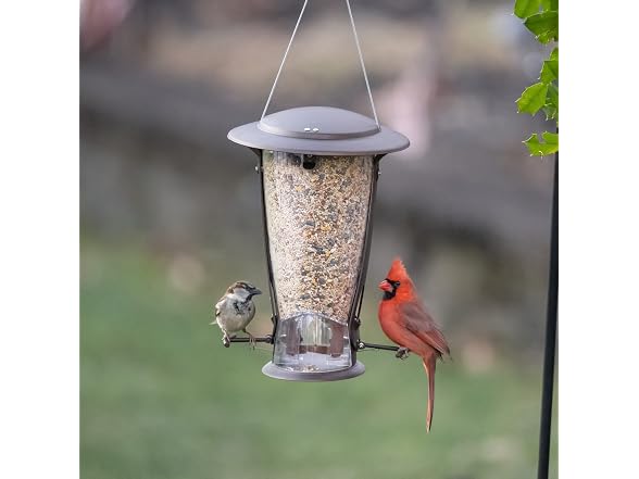 Stokes Select Squirrel Proof COP Feeder