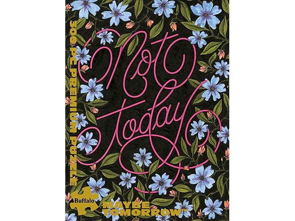 Buffalo Games Not Today Puzzle