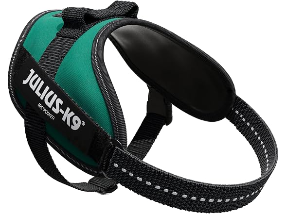 Julius-K9, 16IDC-DG-M, IDC Powerharness, Dog