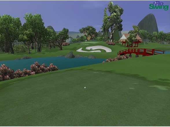 P3ProSwing Pro Package for Clubs