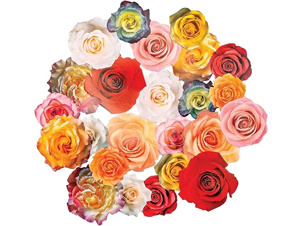 Paper House Productions Rose Garden 24-Piece