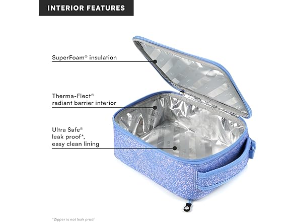 Titan Arctic Zone Lunch Box w/Ice Packs