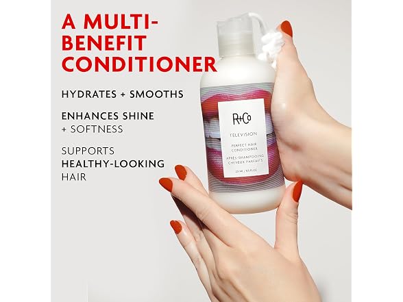 R+Co TELEVISION Perfect Hair Conditioner