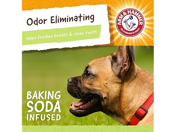 Arm & Hammer Rock-N-Roller Stuffable Dental Chew