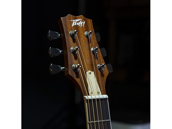 Peavey Delta Woods DW-2 Solid Top