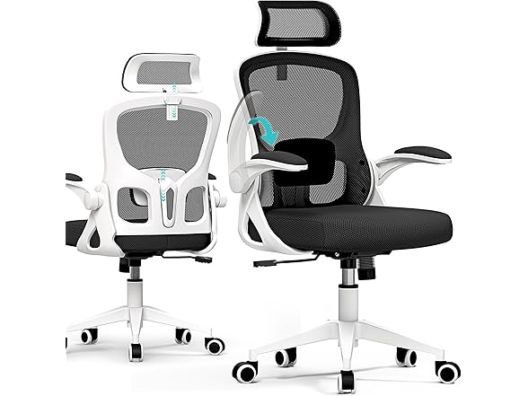 FINATI Ergonomic Office Chair