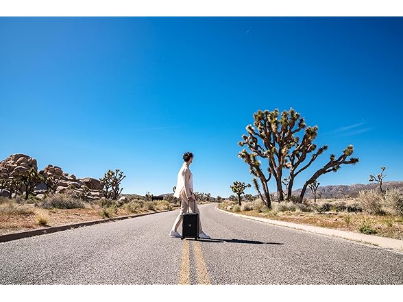 DELSEY PARIS Turenne Hardside Luggage 2Pc