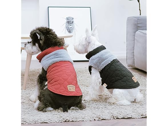 Touchdog 'Furrost-Bite' Winter Dog Coat