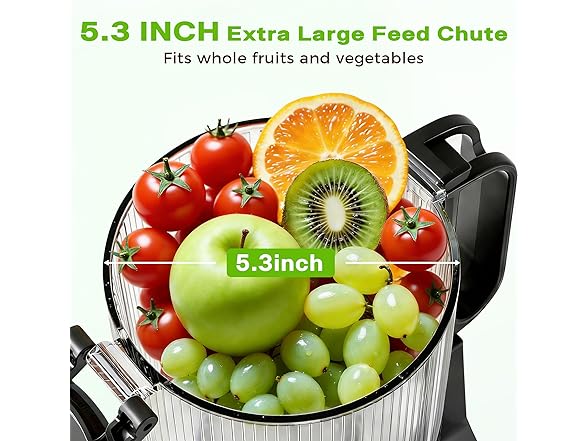 YOYDS cold press juicer 5.3 Inch