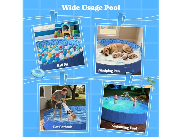 Pawtners Foldable Kiddie Pool with Light