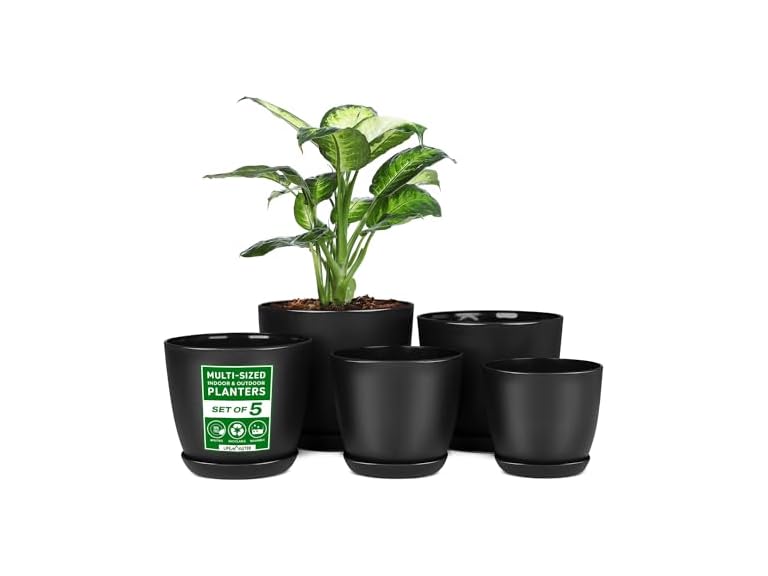 Lifemaster Plant Pots, 5 PC