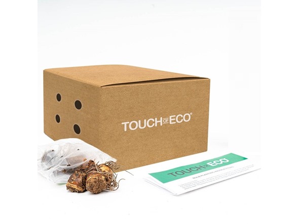 Dutch Iris Mix - 130 Bulbs and Tool