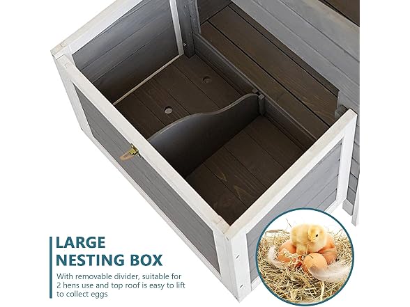 Petsfit Outdoor Chicken Coop with Run for 4-6