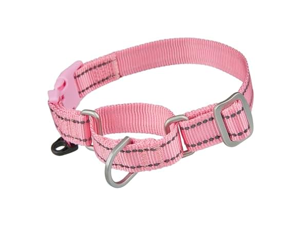 Reflective Martingale Collar for Dogs with Q