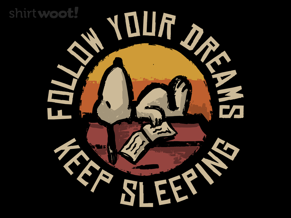 Follow Your Dreams, Keep Sleeping - Gallery 4