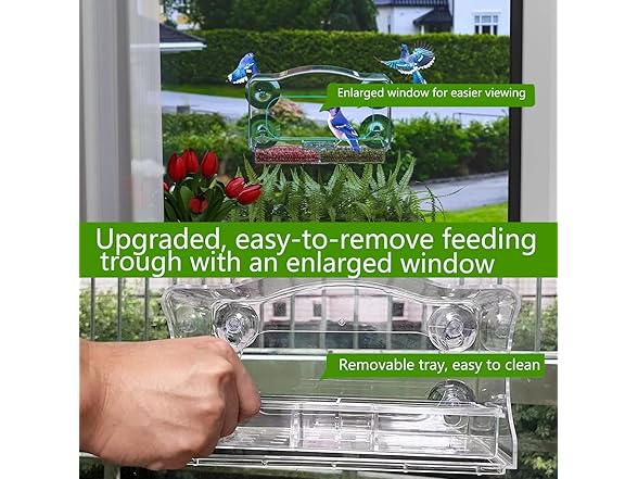 Generic Window Bird Feeder for Outdoor