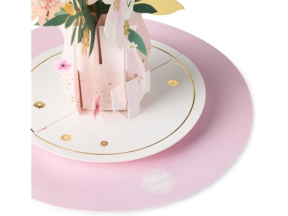 Hallmark Paper Wonder Spinning Pop-Up