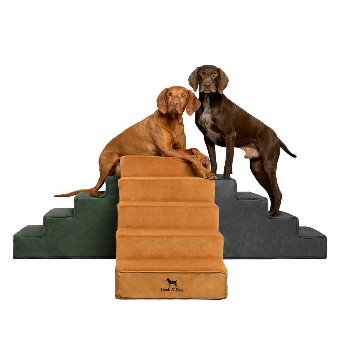 Noah & Paw Dog Stairs - Gallery 18