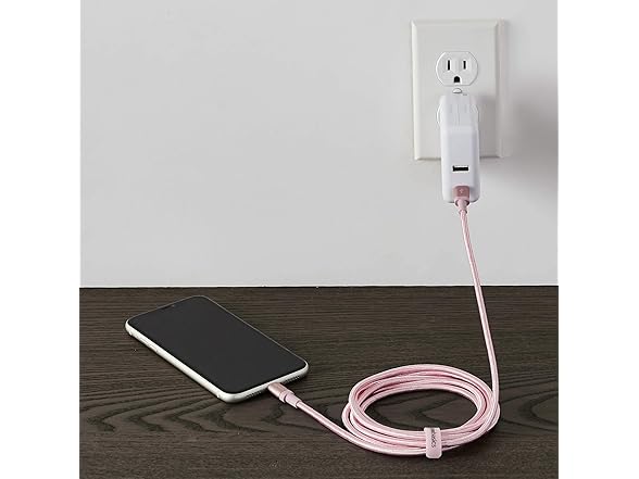 Amazon Basics USB-C to Lightning Cable