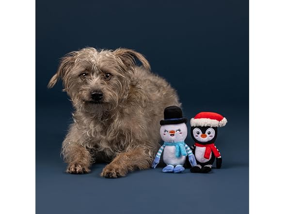 Fringe Studio Pet Toy, Ultimate CHILLERS Plush Dog Toy 2Pc - Gallery 3