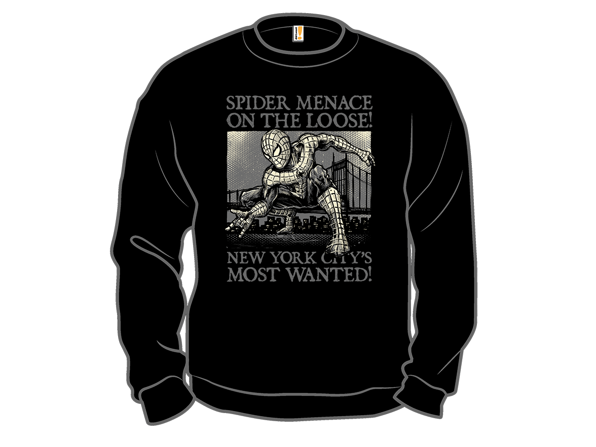 NYC Most Wanted - Gallery 11