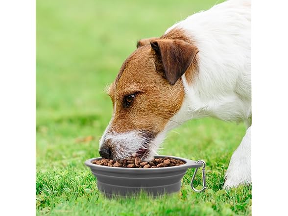 Rest-Eazzzy 2-Pk Silicone Collapsible Dog Bowls Grey, Pink