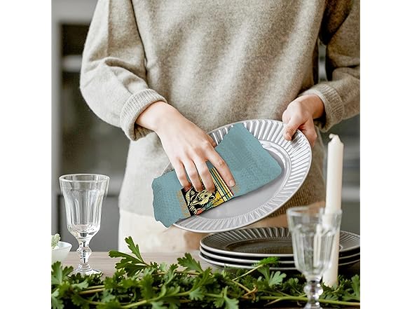 FITIE Opossum Gifts Kitchen Towels