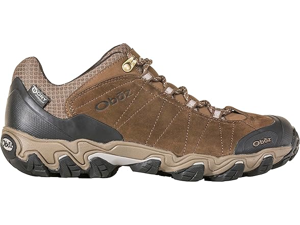 Oboz Men's Bridger Low B-DRY Hiking Shoe