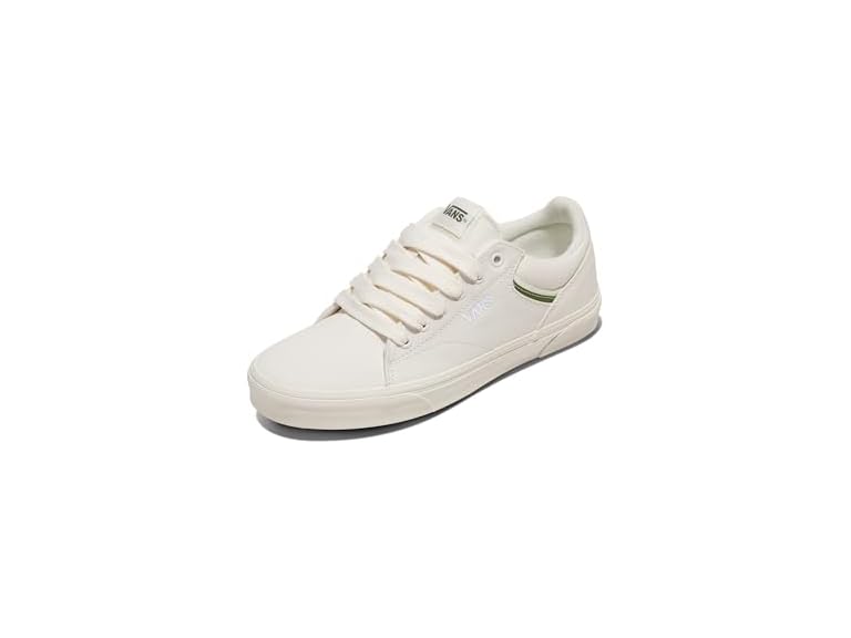 Vans Men's Seldan Shoe