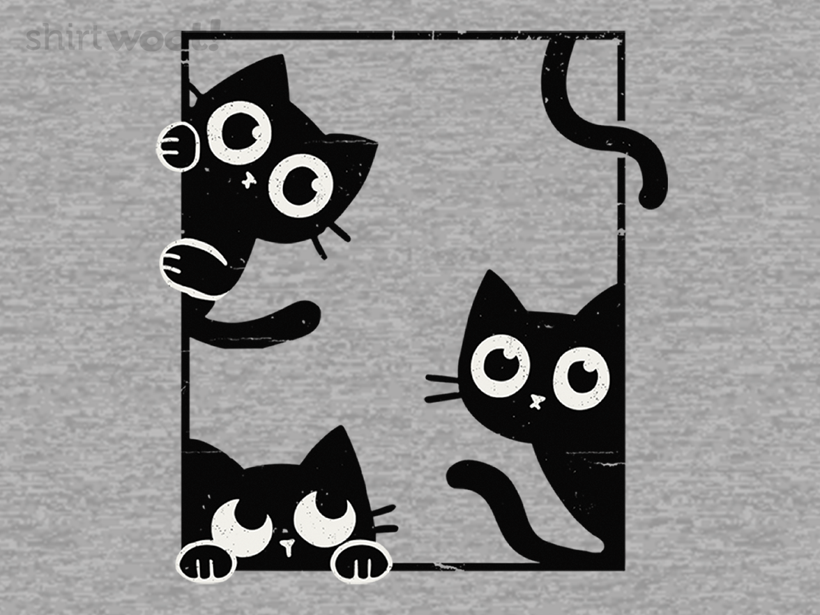 Felines In Frame - Gallery 4