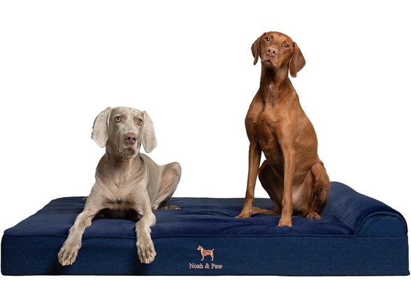 NOAH & PAW Orthopedic Dog Beds- XXLarge