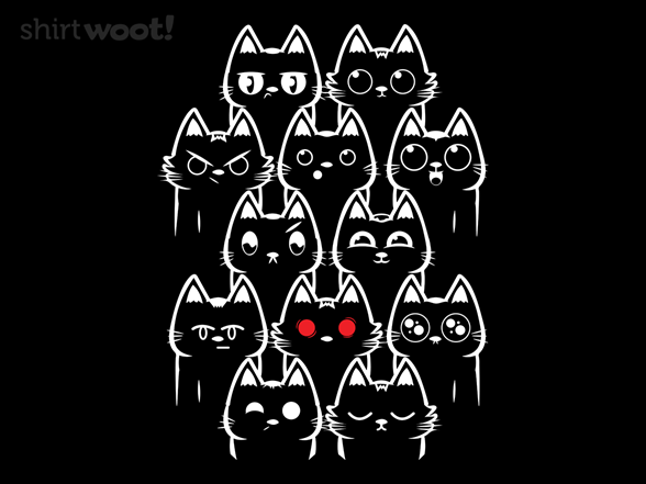 A Cats Day