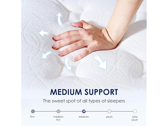 SogesSleep Queen Mattress, 10 Inch