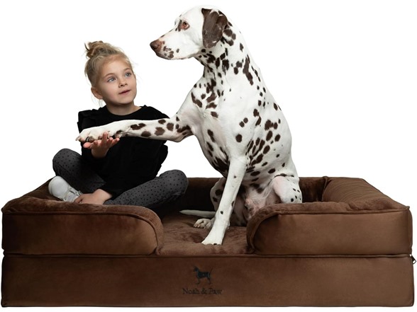 NOAH & PAW Dog Beds- Size and Style VARIES - Gallery 14