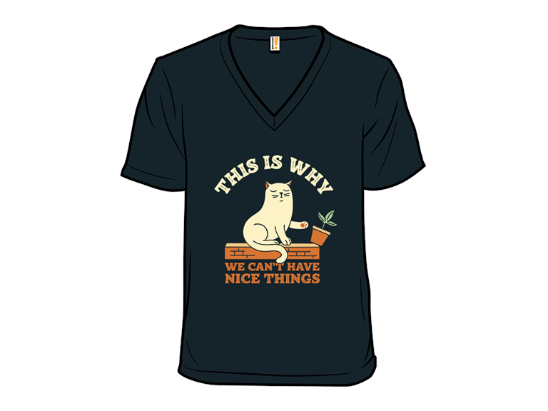 We Cant Have Nice Things