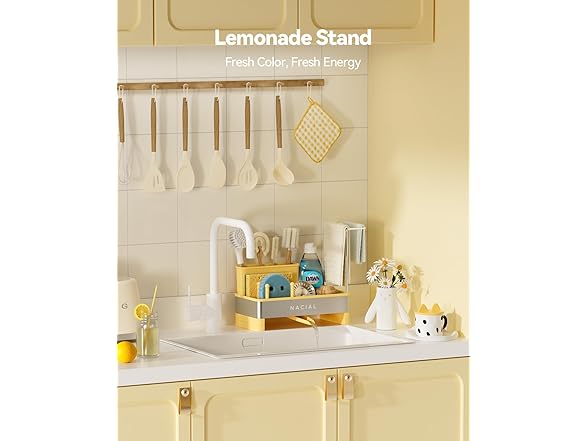 Nacial Sponge Holder for Kitchen