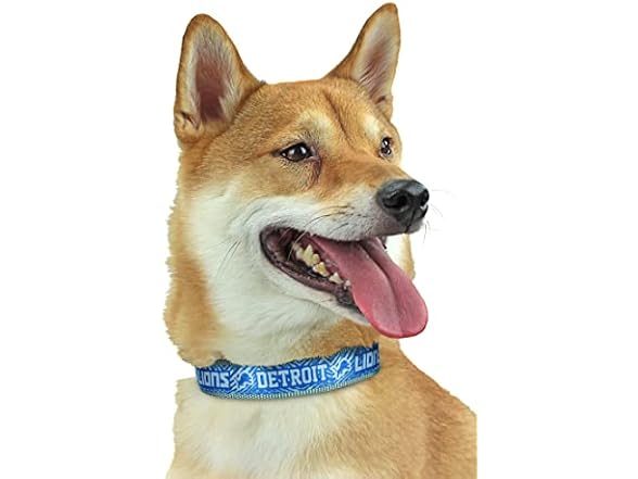 Zubaz NFL Team Adjustable Pet Collar for Dog
