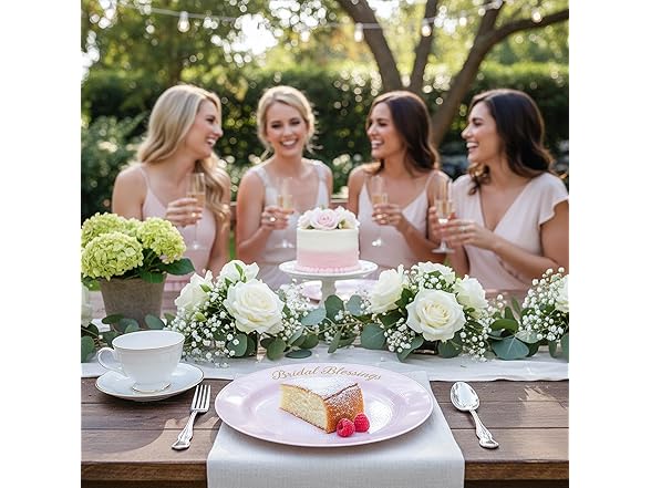 10.25" Blush Dinner Plates 25ct