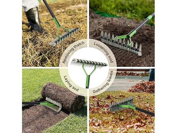 13" Wide Dethatcher Rake