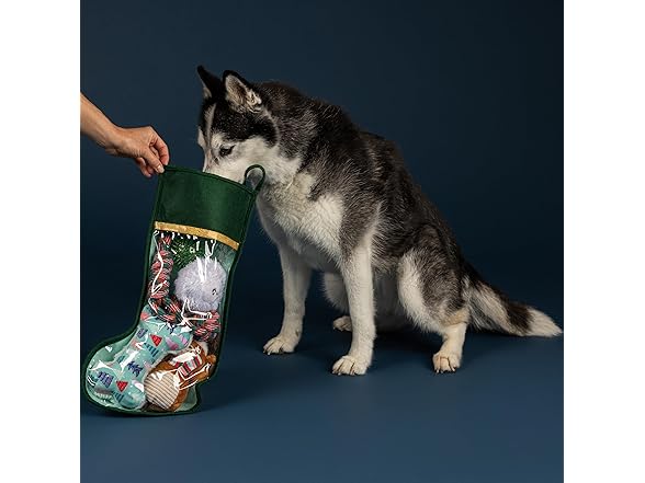Fringe Studio Pet Toy, Happy Pawlidays Dog