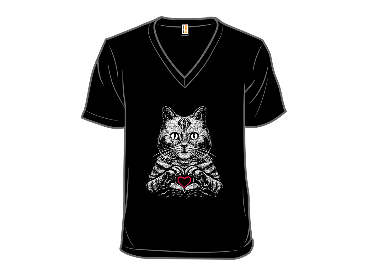 American Shorthair True Affection - Gallery 10