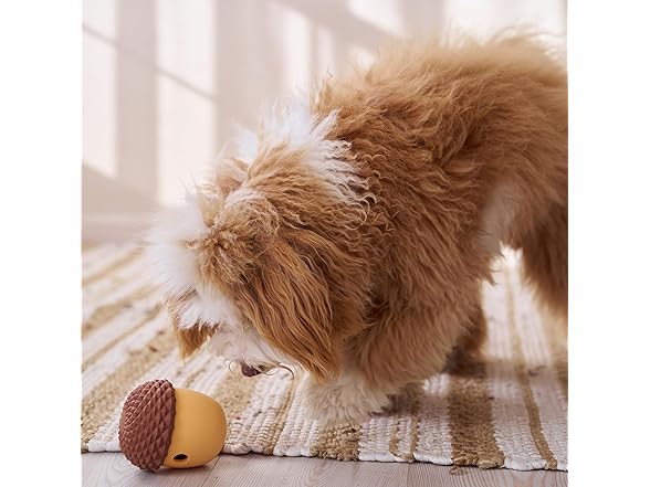 SPOT Treat Tumbler Acorn – Freezable & F